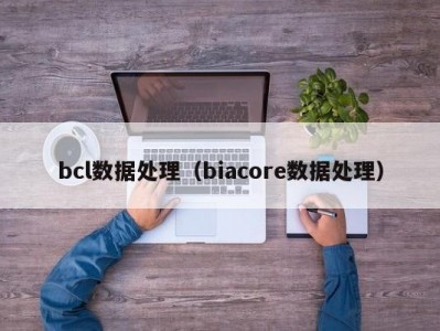 bcl数据处理（biacore数据处理）