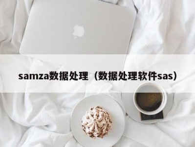 samza数据处理（数据处理软件sas）