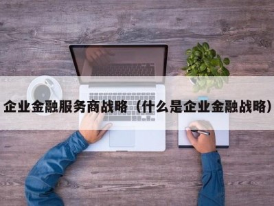 企业金融服务商战略（什么是企业金融战略）