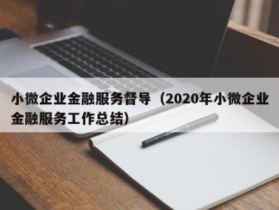 小微企业金融服务督导（2020年小微企业金融服务工作总结）